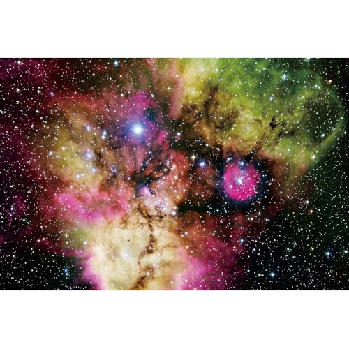 Puzzle für Erwachsene, 1000 Teile, stimulierendes Puzzle für Erwachsene, lustige Spiele für die Familie (70 x 50 cm) von YUXU