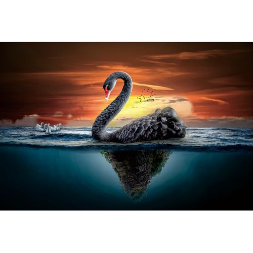 Puzzle für Erwachsene, 1000 Teile, stimulierendes Puzzle für Erwachsene, lustige Spiele für die Familie (70 x 50 cm) von YUXU