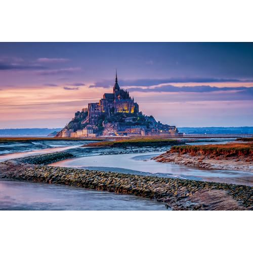 Puzzle für Erwachsene, 1000 Teile, stimulierendes Puzzle für Erwachsene, lustige Spiele für die Familie (70 x 50 cm) von YUXU