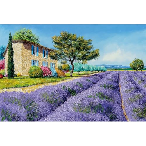 Puzzle für Erwachsene, 1000 Teile, stimulierendes Puzzle für Erwachsene, lustige Spiele für die Familie (70 x 50 cm) von YUXU