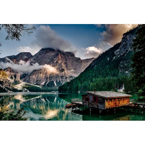 Puzzle für Erwachsene, 1000 Teile, stimulierendes Puzzle für Erwachsene, lustige Spiele für die Familie (70 x 50 cm) von YUXU