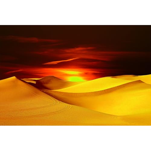 Puzzle für Erwachsene, 2000 Teile, schwierige und schwierige Puzzles für Erwachsene, Spielzeug zum Dekorieren von Geburtstagsfeiern und Geschenke für die Familie. Puzzle für Erwachsene, 2000 Teile, schwierige und schwierige Puzzles für Erwachsene, Spielzeug zum Dekorieren von Geburtstagsfeiern und Geschenke für die Familie. von YUXU