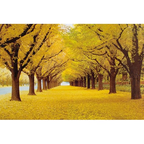 Puzzle für Erwachsene, 2000 Teile, schwierige und schwierige Puzzles für Erwachsene, Spielzeug zum Dekorieren von Geburtstagsfeiern und Geschenke für die Familie. Puzzle für Erwachsene, 2000 Teile, schwierige und schwierige Puzzles für Erwachsene, Spielzeug zum Dekorieren von Geburtstagsfeiern und Geschenke für die Familie. von YUXU