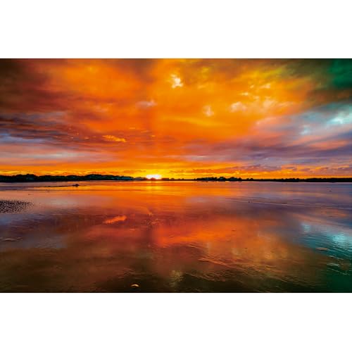 Puzzle für Erwachsene, 2000 Teile, schwierige und schwierige Puzzles für Erwachsene, Spielzeug zum Dekorieren von Geburtstagsfeiern und Geschenke für die Familie. Puzzle für Erwachsene, 2000 Teile, schwierige und schwierige Puzzles für Erwachsene, Spielzeug zum Dekorieren von Geburtstagsfeiern und Geschenke für die Familie. von YUXU