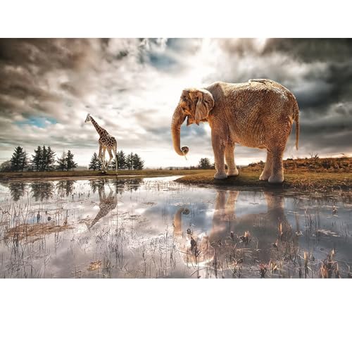 Puzzles für Erwachsene, 1000 Teile, Seelandschaft, städtische Landschaftstiere, Herausforderung, Puzzles für Erwachsene, geeignet für Heimdekoration und Geschenke. von YUXU