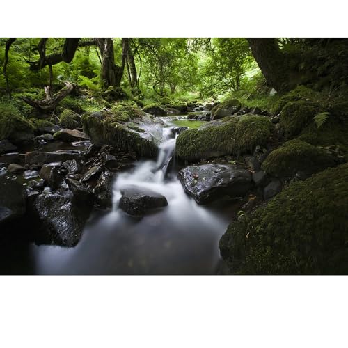 Puzzles für Erwachsene, 1000 Teile, Seelandschaft, städtische Landschaftstiere, Herausforderung, Puzzles für Erwachsene, geeignet für Heimdekoration und Geschenke. von YUXU