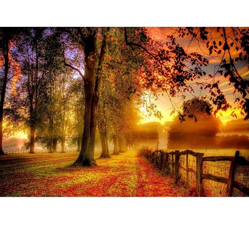 Puzzles für Erwachsene, 1000 Teile, Seelandschaft, städtische Landschaftstiere, Herausforderung, Puzzles für Erwachsene, geeignet für Heimdekoration und Geschenke. von YUXU