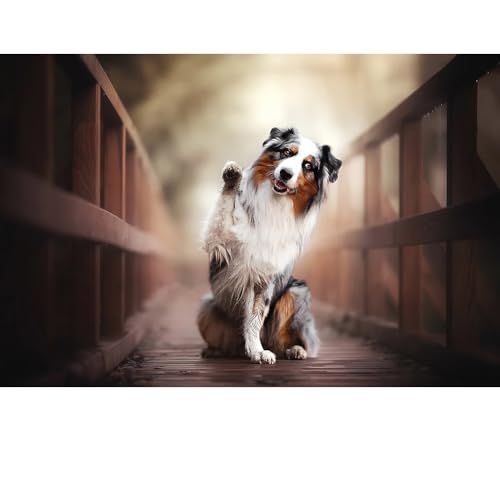 Puzzles für Erwachsene, 1000 Teile, Seelandschaft, städtische Landschaftstiere, Herausforderung, Puzzles für Erwachsene, geeignet für Heimdekoration und Geschenke. von YUXU