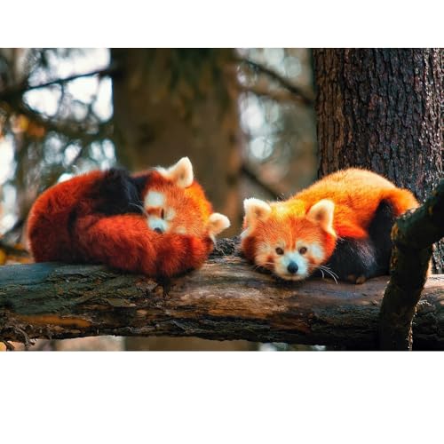 Puzzles für Erwachsene, 1000 Teile, Seelandschaft, städtische Landschaftstiere, Herausforderung, Puzzles für Erwachsene, geeignet für Heimdekoration und Geschenke. von YUXU