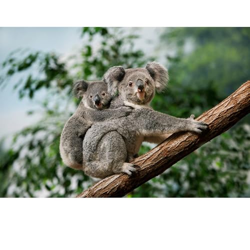 Puzzles für Erwachsene, 1000 Teile, Seelandschaft, städtische Landschaftstiere, Herausforderung, Puzzles für Erwachsene, geeignet für Heimdekoration und Geschenke. Puzzles für Erwachsene, 1000 Teile, Seelandschaft, städtische Landschaftstiere, Herausforderung, Puzzles für Erwachsene, geeignet für Heimdekoration und Geschenke. von YUXU