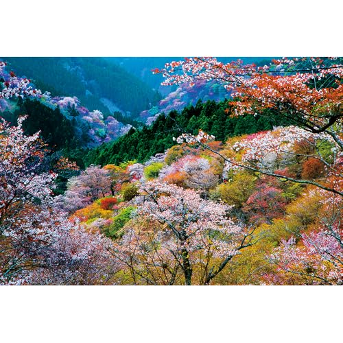Puzzles für Erwachsene, 1000 Teile, Seelandschaft, städtische Landschaftstiere, Herausforderung, Puzzles für Erwachsene, geeignet für Heimdekoration und Geschenke. von YUXU