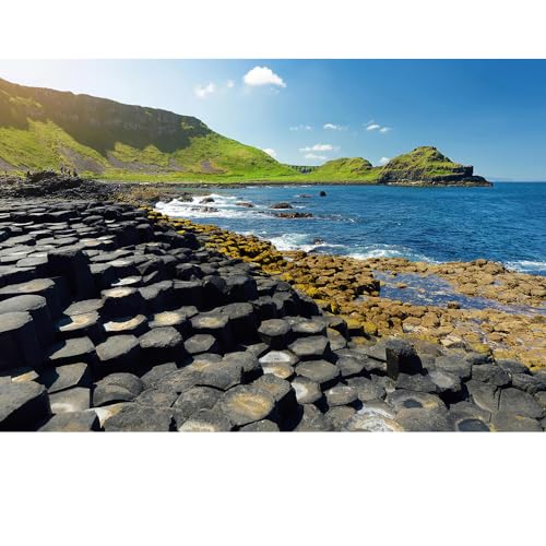 Puzzles für Erwachsene, 1000 Teile, Seelandschaft, städtische Landschaftstiere, Herausforderung, Puzzles für Erwachsene, geeignet für Heimdekoration und Geschenke. Puzzles für Erwachsene, 1000 Teile, Seelandschaft, städtische Landschaftstiere, Herausforderung, Puzzles für Erwachsene, geeignet für Heimdekoration und Geschenke. von YUXU