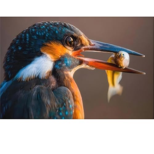 Puzzles für Erwachsene, 1000 Teile, Seelandschaft, städtische Landschaftstiere, Herausforderung, Puzzles für Erwachsene, geeignet für Heimdekoration und Geschenke. Puzzles für Erwachsene, 1000 Teile, Seelandschaft, städtische Landschaftstiere, Herausforderung, Puzzles für Erwachsene, geeignet für Heimdekoration und Geschenke. von YUXU