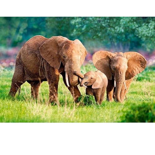 Puzzles für Erwachsene, 1000 Teile, Seelandschaft, städtische Landschaftstiere, Herausforderung, Puzzles für Erwachsene, geeignet für Heimdekoration und Geschenke. Puzzles für Erwachsene, 1000 Teile, Seelandschaft, städtische Landschaftstiere, Herausforderung, Puzzles für Erwachsene, geeignet für Heimdekoration und Geschenke. von YUXU