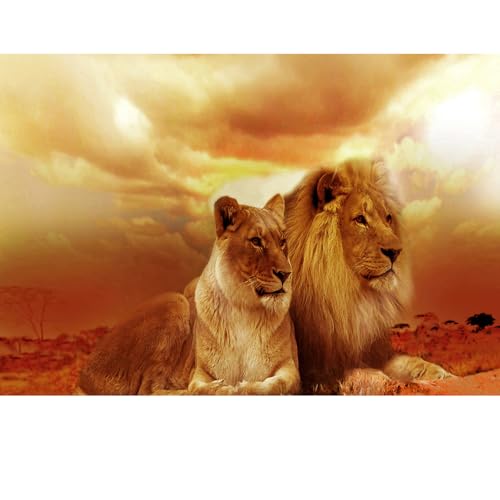 Puzzles für Erwachsene, 1000 Teile, Seelandschaft, städtische Landschaftstiere, Herausforderung, Puzzles für Erwachsene, geeignet für Heimdekoration und Geschenke. Puzzles für Erwachsene, 1000 Teile, Seelandschaft, städtische Landschaftstiere, Herausforderung, Puzzles für Erwachsene, geeignet für Heimdekoration und Geschenke. von YUXU