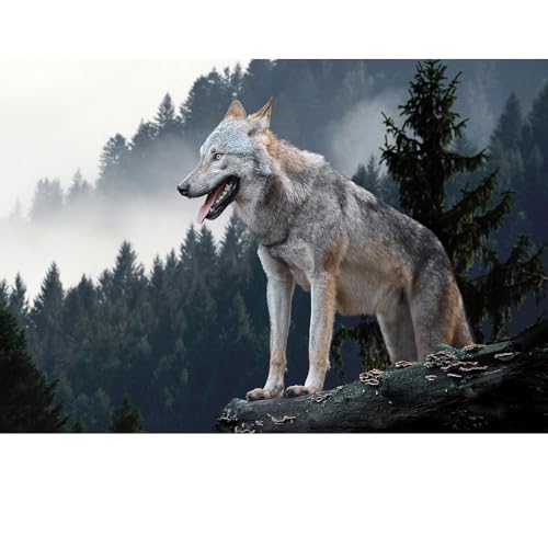 Puzzles für Erwachsene, 1000 Teile, Seelandschaft, städtische Landschaftstiere, Herausforderung, Puzzles für Erwachsene, geeignet für Heimdekoration und Geschenke. Puzzles für Erwachsene, 1000 Teile, Seelandschaft, städtische Landschaftstiere, Herausforderung, Puzzles für Erwachsene, geeignet für Heimdekoration und Geschenke. von YUXU