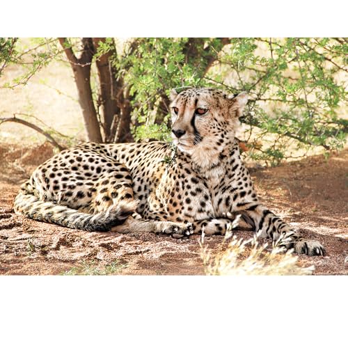 Puzzles für Erwachsene, 2000 Teile, Seelandschaft, städtische Landschaftstiere, Herausforderung, Puzzles für Erwachsene, geeignet für Heimdekoration und Geschenke. von YUXU