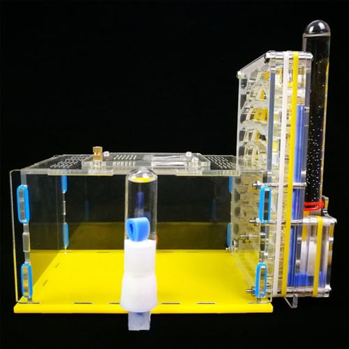 YWBL-WH Transparente Plastik -Farm -Racks Villa, um Lebende Ameisen und Arbeiten zu Sehen, Ideal für Schlafzimmer oder Küchendekoration (Yellow) von YWBL-WH