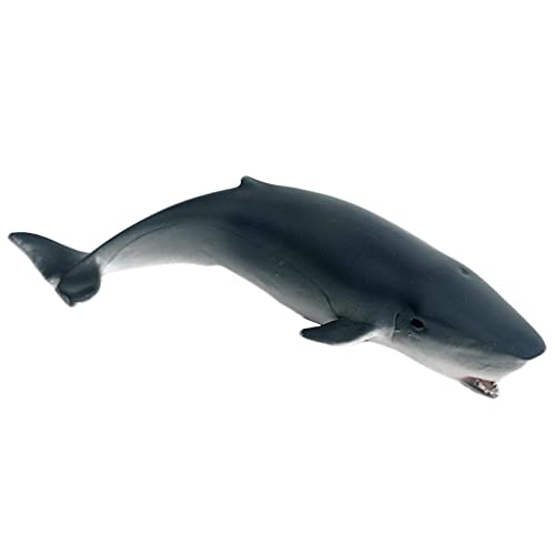 YWJLQH Figuren Tiere Shark Sea Life Marine Lernspielzeug für Kinder, F von YWJLQH
