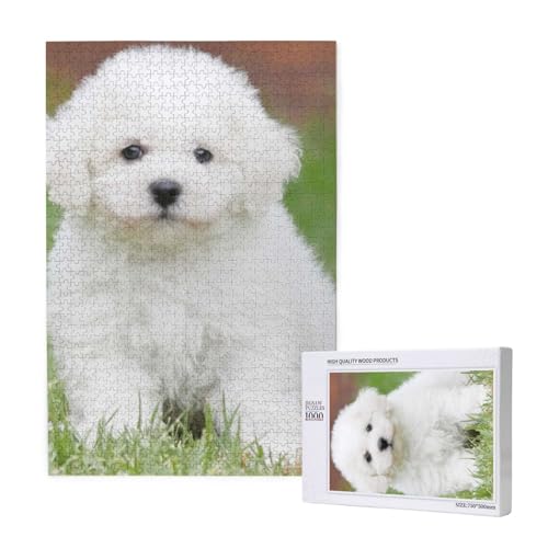 Bichon Frise Hund Bedruckt,1000 Teile Holzpuzzle Familienspiel Puzzle für Erwachsene und Jugendliche Bichon Frise Hund Bedruckt,1000 Teile Holzpuzzle Familienspiel Puzzle für Erwachsene und Jugendliche von YWSOTRE