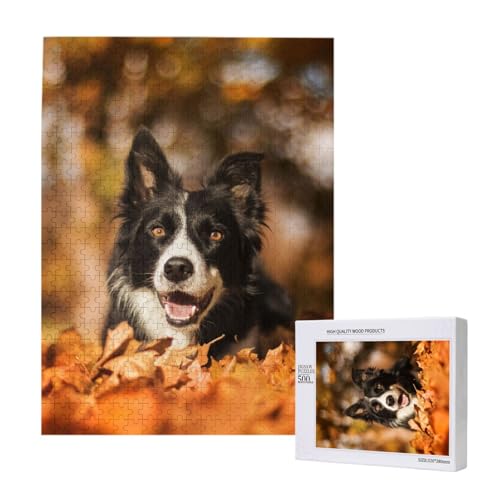 Border Collie Bokeh Herbst Schwarzer Border Collie,500 Teile Holzpuzzle Familienspiel Puzzles für Erwachsene und Jugendliche Border Collie Bokeh Herbst Schwarzer Border Collie,500 Teile Holzpuzzle Familienspiel Puzzles für Erwachsene und Jugendliche von YWSOTRE