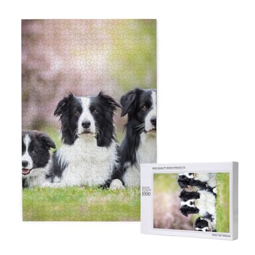 Border Collie Familie,1000 Teile Holzpuzzle Familienspiel Puzzle für Erwachsene und Jugendliche Border Collie Familie,1000 Teile Holzpuzzle Familienspiel Puzzle für Erwachsene und Jugendliche von YWSOTRE