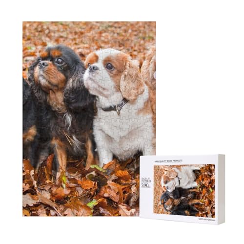 Cavalier King Charles Spaniel Herbstwelpen,300 Teile Holzpuzzle Familienspiel Puzzle für Erwachsene und Jugendliche Cavalier King Charles Spaniel Herbstwelpen,300 Teile Holzpuzzle Familienspiel Puzzle für Erwachsene und Jugendliche von YWSOTRE