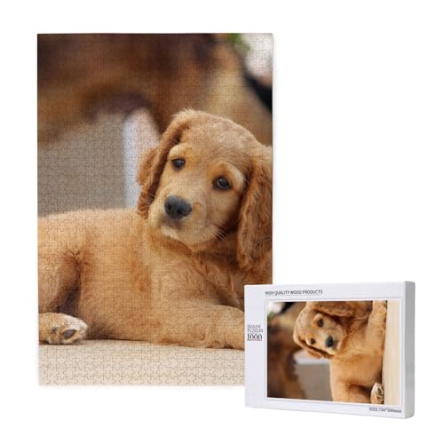 Cocker Spaniel Welpe Kleiner Spaniel Hunde Haustiere,1000 Teile Holzpuzzle Familienspiel Puzzle für Erwachsene und Jugendliche Cocker Spaniel Welpe Kleiner Spaniel Hunde Haustiere,1000 Teile Holzpuzzle Familienspiel Puzzle für Erwachsene und Jugendliche von YWSOTRE