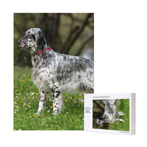 English Setter Rasen Haustiere Hunde English Setter,300 Teile Holzpuzzle Familienspiel Puzzle für Erwachsene und Jugendliche English Setter Rasen Haustiere Hunde English Setter,300 Teile Holzpuzzle Familienspiel Puzzle für Erwachsene und Jugendliche von YWSOTRE
