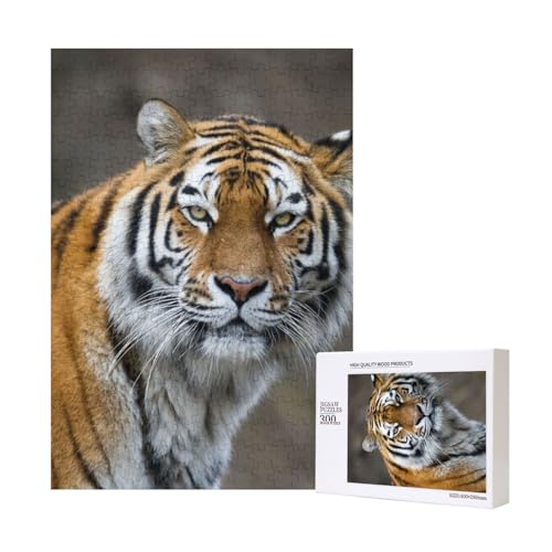 Gamaschen Tiger,300 Teile Holzpuzzle Familienspiel Puzzle für Erwachsene und Jugendliche Gamaschen Tiger,300 Teile Holzpuzzle Familienspiel Puzzle für Erwachsene und Jugendliche von YWSOTRE