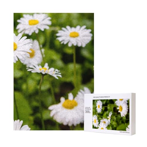Helle Blume Schönes Gänseblümchen,300 Teile Holzpuzzle Familienspiel Puzzle für Erwachsene und Jugendliche Helle Blume Schönes Gänseblümchen,300 Teile Holzpuzzle Familienspiel Puzzle für Erwachsene und Jugendliche von YWSOTRE