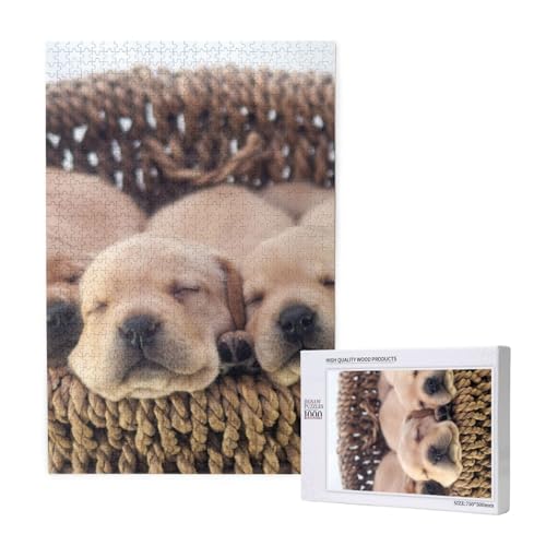 Labradors Kleine Welpen Golden Retriever,1000 Teile Holzpuzzle Familienspiel Puzzle für Erwachsene und Jugendliche Labradors Kleine Welpen Golden Retriever,1000 Teile Holzpuzzle Familienspiel Puzzle für Erwachsene und Jugendliche von YWSOTRE
