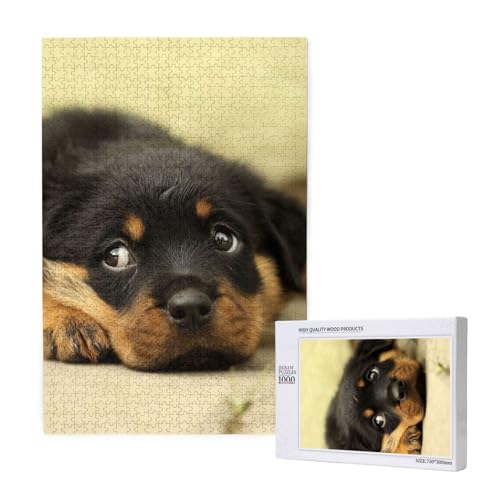 Rottweiler Hunde Süße Hunde Welpen Haustiere Klein,1000 Teile Holzpuzzle Familienspiel Puzzle für Erwachsene und Jugendliche Rottweiler Hunde Süße Hunde Welpen Haustiere Klein,1000 Teile Holzpuzzle Familienspiel Puzzle für Erwachsene und Jugendliche von YWSOTRE