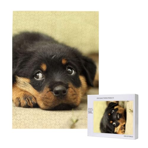 Rottweiler Hunde Süße Hunde Welpen Haustiere Klein,500 Teile Holzpuzzle Familienspiel Puzzles für Erwachsene und Jugendliche von YWSOTRE