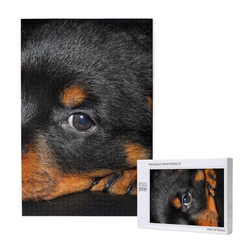 Rottweiler Welpen Haustiere Kleine Rottweiler Hunde,1000 Teile Holzpuzzle Familienspiel Puzzle für Erwachsene und Jugendliche Rottweiler Welpen Haustiere Kleine Rottweiler Hunde,1000 Teile Holzpuzzle Familienspiel Puzzle für Erwachsene und Jugendliche von YWSOTRE