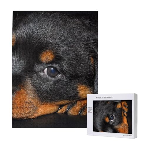 Rottweiler Welpen Haustiere Kleine Rottweiler Hunde,500 Teile Holzpuzzle Familienspiel Puzzles für Erwachsene und Jugendliche Rottweiler Welpen Haustiere Kleine Rottweiler Hunde,500 Teile Holzpuzzle Familienspiel Puzzles für Erwachsene und Jugendliche von YWSOTRE