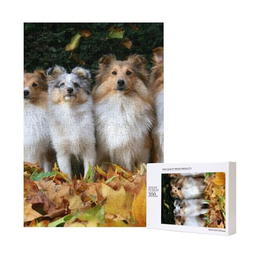 Süße Shelties Hund gelbes Blatt,300 Teile Holzpuzzle Familienspiel Puzzle für Erwachsene und Jugendliche von YWSOTRE