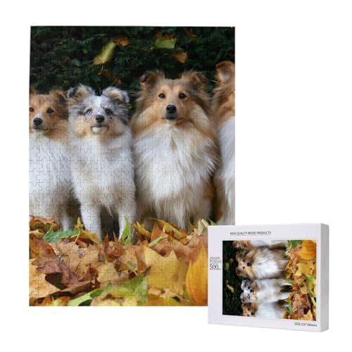Süße Shelties Hund gelbes Blatt,500 Teile Holzpuzzle Familienspiel Puzzles für Erwachsene und Jugendliche von YWSOTRE