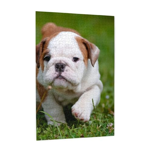 Süßer Bulldoggenwelpe,1000 Teile Holzpuzzle Familienspiel Puzzle für Erwachsene und Jugendliche Süßer Bulldoggenwelpe,1000 Teile Holzpuzzle Familienspiel Puzzle für Erwachsene und Jugendliche von YWSOTRE