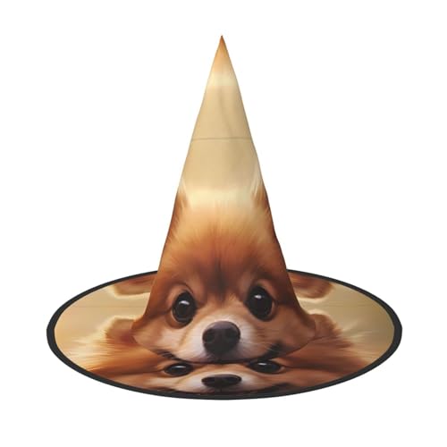 YXLymxDAMAI Niedlicher kleiner Hund Halloween Hexenhut - Schwarzer Hexenhut geeignet für Halloween-Kostümpartys und Rollenspiele von YXLymxDAMAI