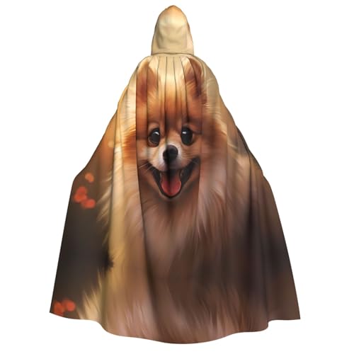 YXLymxDAMAI Süßer kleiner Hundemantel mit Kapuze für Männer und Frauen – perfekt für Halloween, Kostümpartys, Cosplay, schwarz, weiß von YXLymxDAMAI