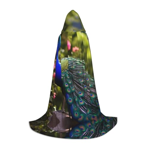 YXLymxDAMAI Wunderschöner Pfauen-Halloween-Umhang mit Kapuze – Cosplay-Umhang, Robe, Kostüm, Kapuzenuniform, Schwarz von YXLymxDAMAI