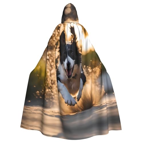Halloween-Umhang mit Kapuze für Erwachsene, Motiv: YYHHAOFA mit laufendem Hund, super großer Kapuzenumhang mit Fliege Halloween-Umhang mit Kapuze für Erwachsene, Motiv: YYHHAOFA mit laufendem Hund, super großer Kapuzenumhang mit Fliege von YYHHAOFA