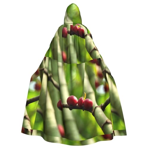 YYHHAOFA Herbstfrucht auf dem Ast, bedruckt, Halloween, Erwachsenen-Kapuzenumhang, ohne Reißverschluss, bequem für Kostümpartys YYHHAOFA Herbstfrucht auf dem Ast, bedruckt, Halloween, Erwachsenen-Kapuzenumhang, ohne Reißverschluss, bequem für Kostümpartys von YYHHAOFA