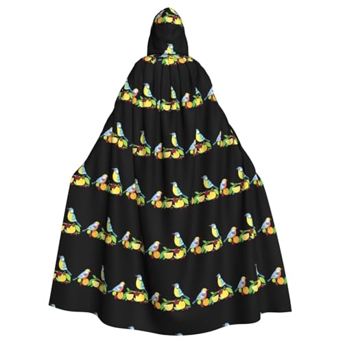 YYHHAOFA Kapuzenumhang mit Vögeln, die Früchte fressen, Halloween, Erwachsene, ohne Reißverschluss, bequem für Kostümpartys von YYHHAOFA