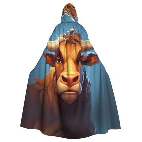 YYHHAOFA Kapuzenumhang mit großen Augen für Halloween, Erwachsene, für Cosplay, Kostümpartys und mehr von YYHHAOFA