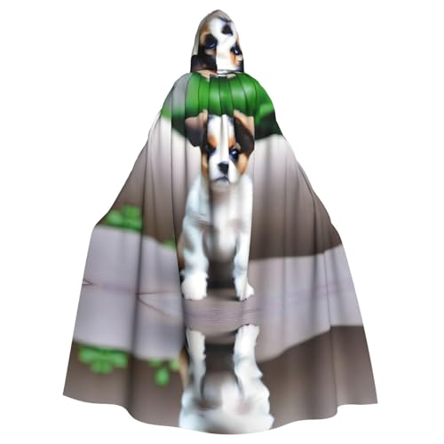 YYHHAOFA Niedlicher brauner Hunde-Aufdruck, Halloween-Umhang mit Kapuze, für Party, Dekoration, Cosplay, Kostüme, Bühnenmaskerade YYHHAOFA Niedlicher brauner Hunde-Aufdruck, Halloween-Umhang mit Kapuze, für Party, Dekoration, Cosplay, Kostüme, Bühnenmaskerade von YYHHAOFA