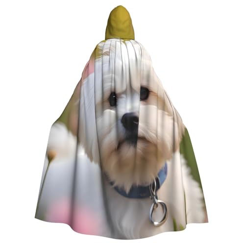 YYHHAOFA Schöner Malteser-Hunde-Aufdruck, Halloween, Erwachsenen-Kapuzenumhang für Cosplay, Kostümpartys und mehr YYHHAOFA Schöner Malteser-Hunde-Aufdruck, Halloween, Erwachsenen-Kapuzenumhang für Cosplay, Kostümpartys und mehr von YYHHAOFA