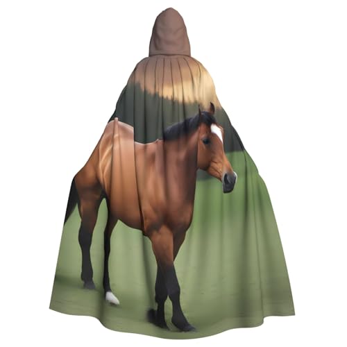 YYHHAOFA Umhang mit Kapuze für Halloween, Erwachsene, mit Kapuze, für Party, Dekoration, Cosplay, Kostüme, Bühnenmaskerade YYHHAOFA Umhang mit Kapuze für Halloween, Erwachsene, mit Kapuze, für Party, Dekoration, Cosplay, Kostüme, Bühnenmaskerade von YYHHAOFA