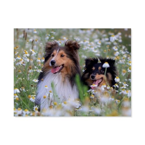 1000 Stück，Wir lieben Shelties，Puzzle Für Erwachsene Lernspielzeug Für Kinder Kreative Spiele Unterhaltung Papier Puzzles Home Decor（38x26cm）-AP49 von YYHMKBYY